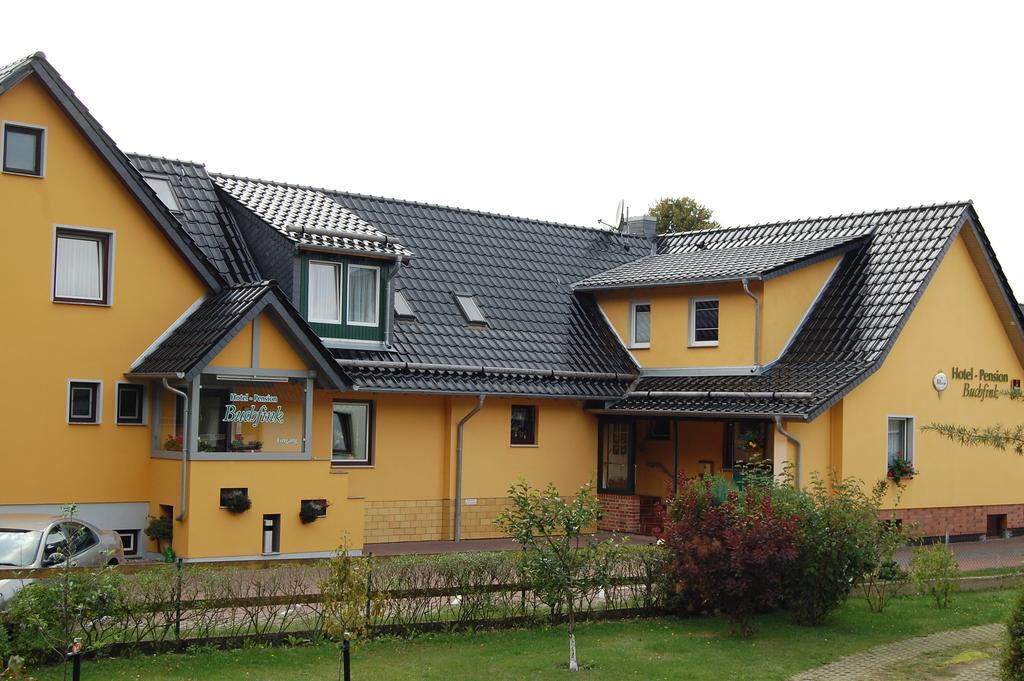 Pension Buchfink Ückeritz Zewnętrze zdjęcie