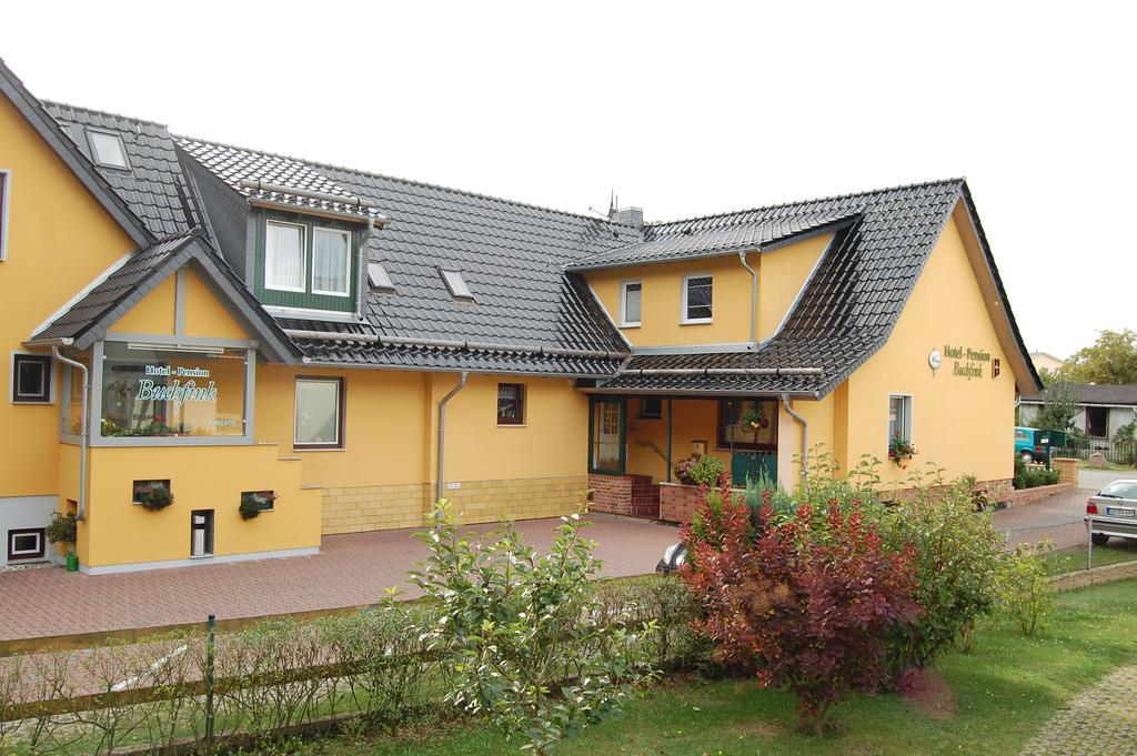 Pension Buchfink Ückeritz Zewnętrze zdjęcie